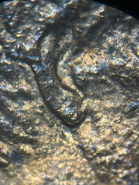 Lincoln-Memorial-Cent-1988-D--Normal-Ear-?-Or-?